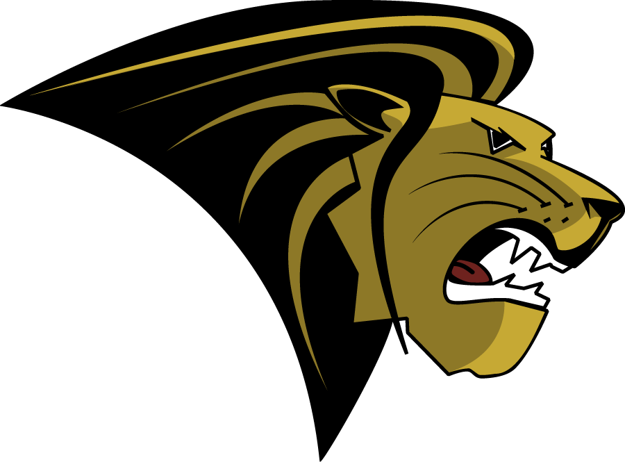 Lindenwood Lions 2004-2010 Primary Logo diy DTF decal sticker